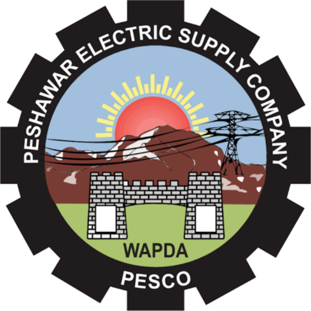 PESCO Online Bill Check